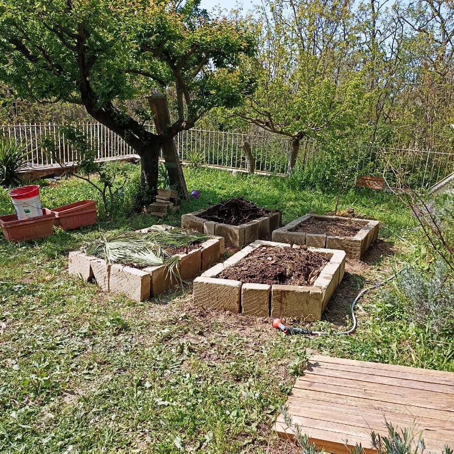 Ripe'S Forest Garden Guest House Rome Exterior photo